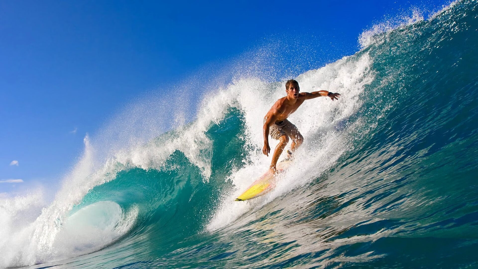 _野外生存赛:在荒野中挑战极限运动腕力_,户外运动野外生存