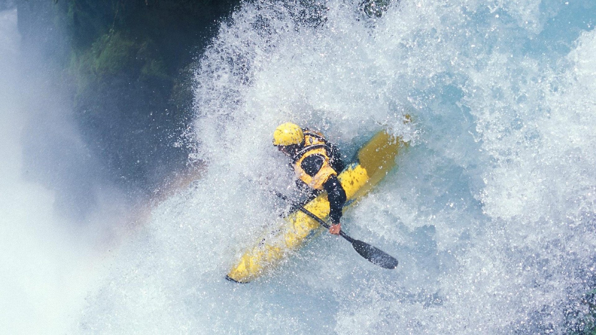 _野生动植物保护跑：运动与环保双赢_，野生动植物保护宣传海报